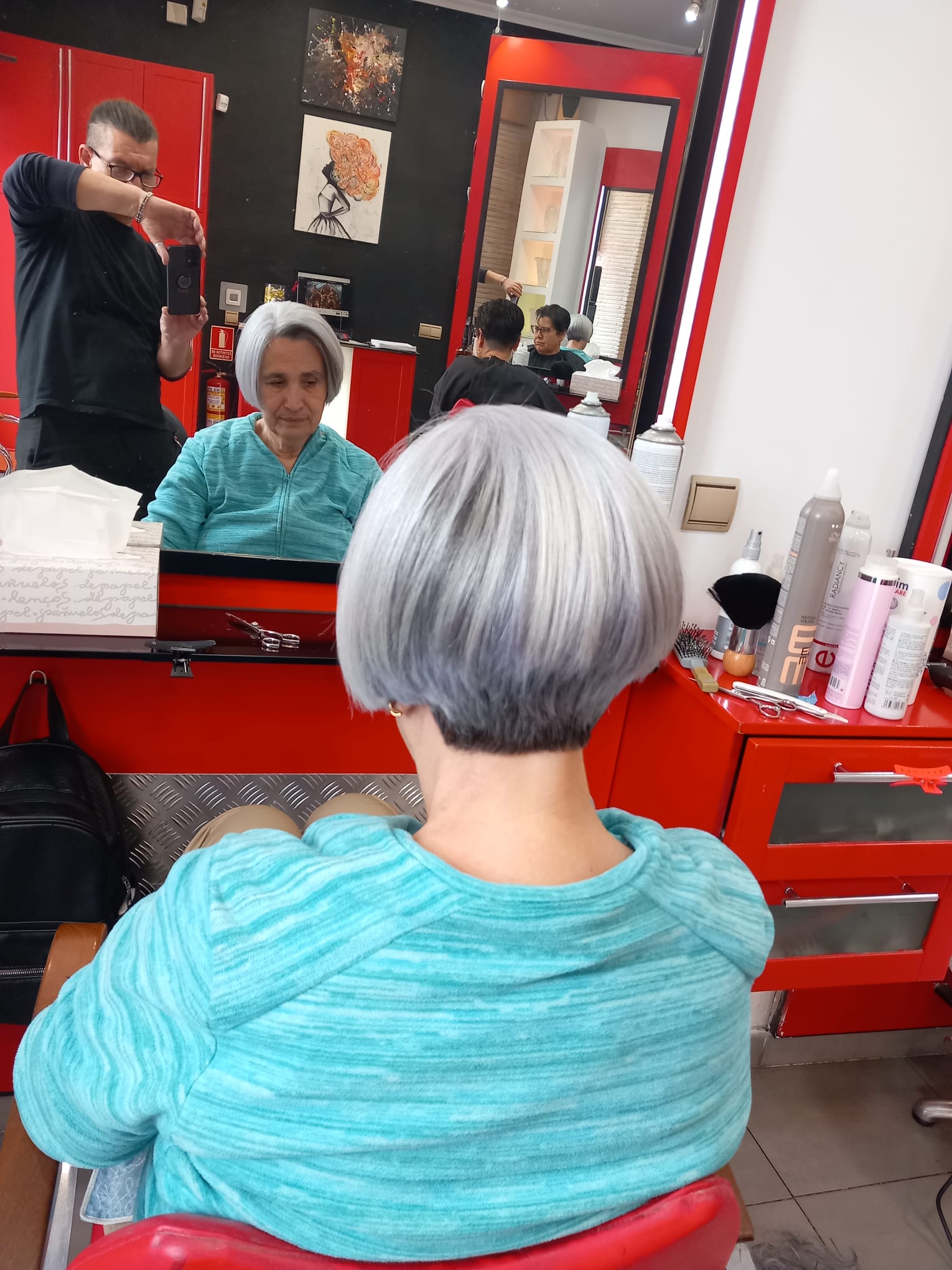 Bob plata gris, vista trasera