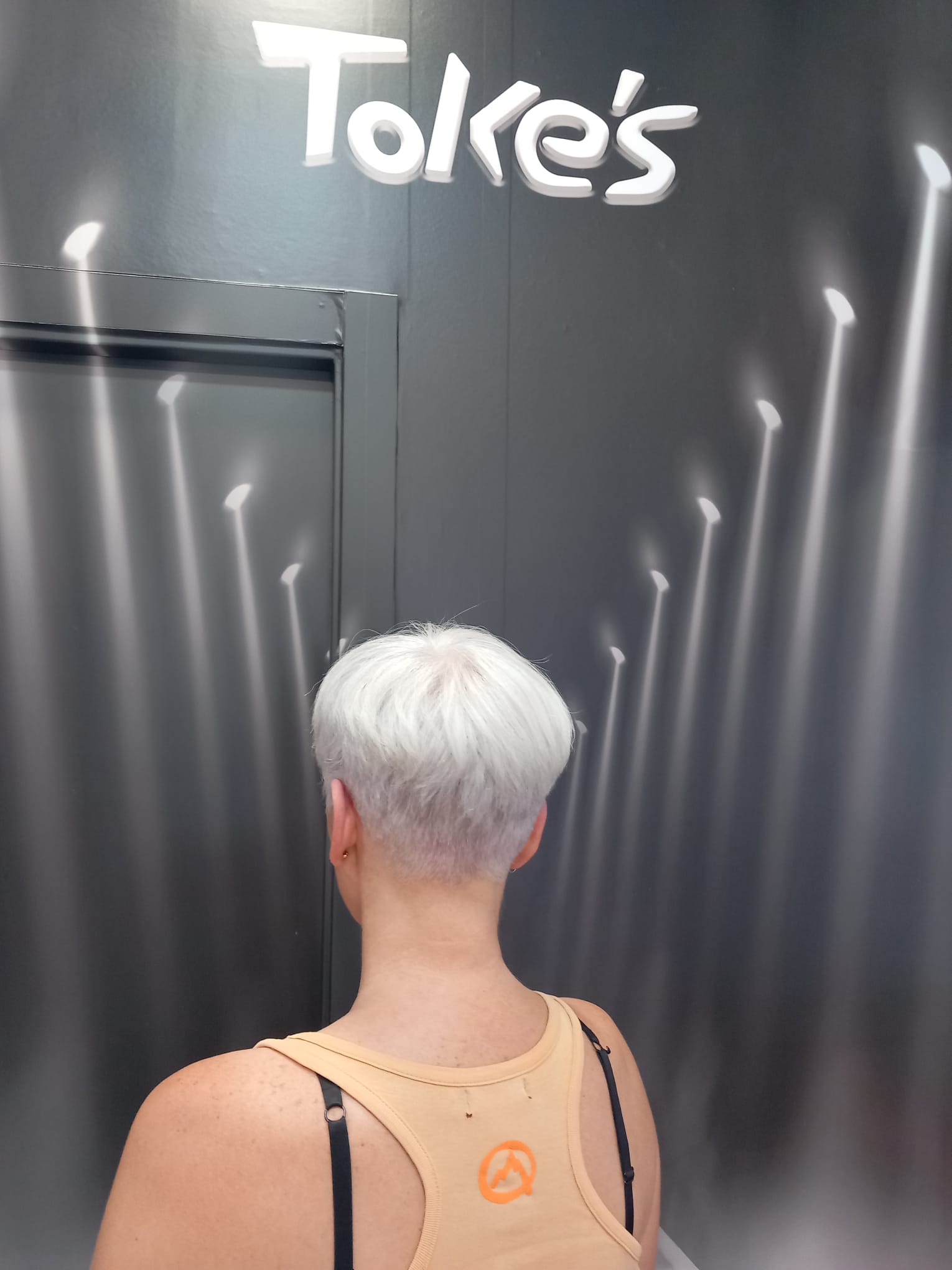 Corte pixie plata, trasera